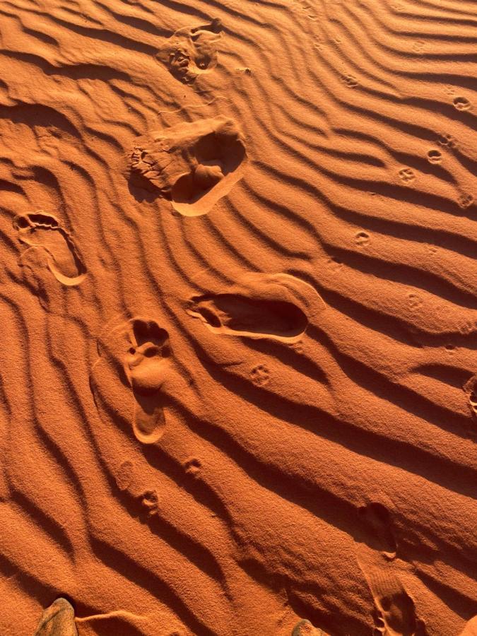 Wadi Rum Silk Road Camp ภายนอก รูปภาพ