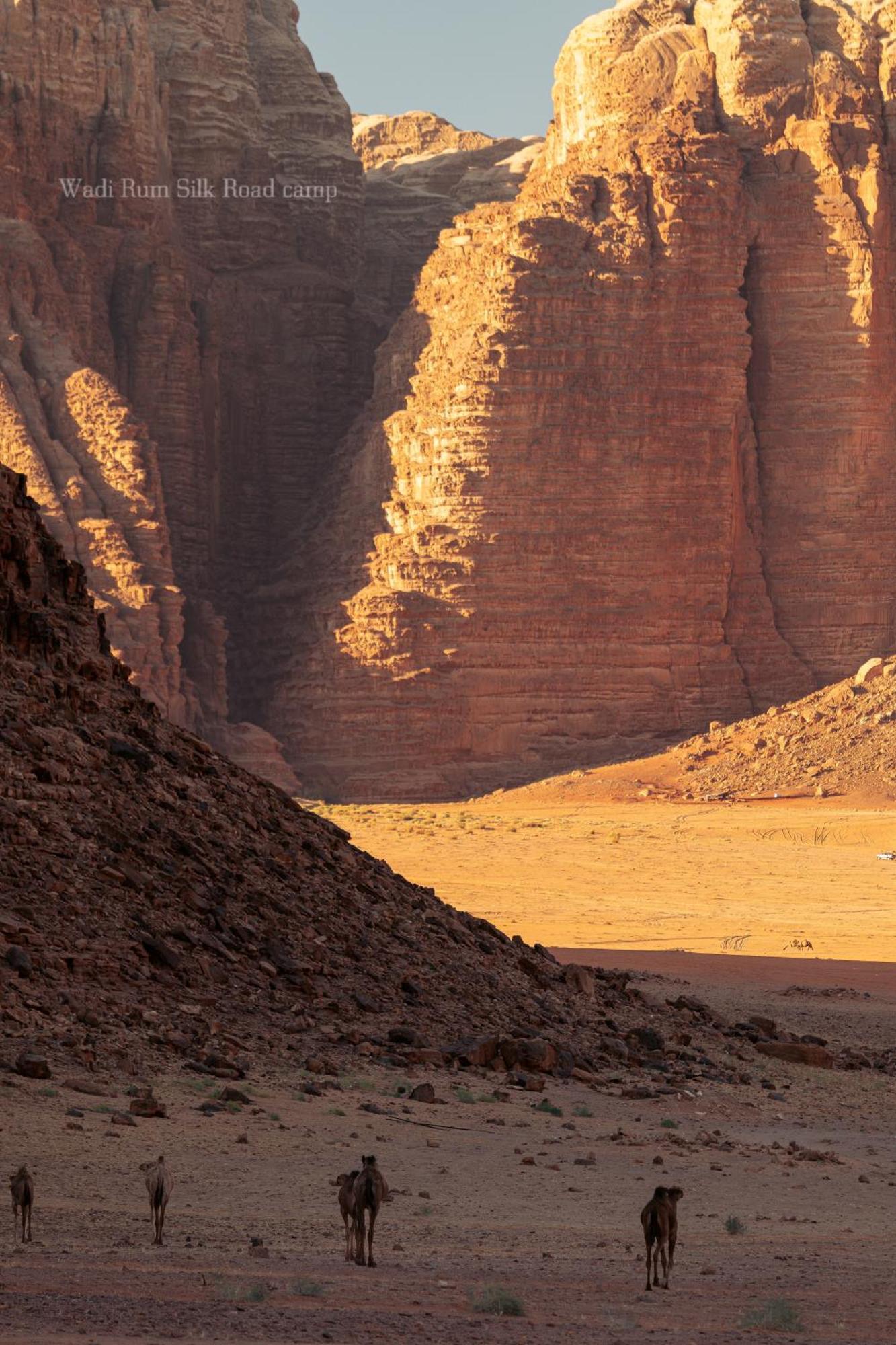 Wadi Rum Silk Road Camp ภายนอก รูปภาพ