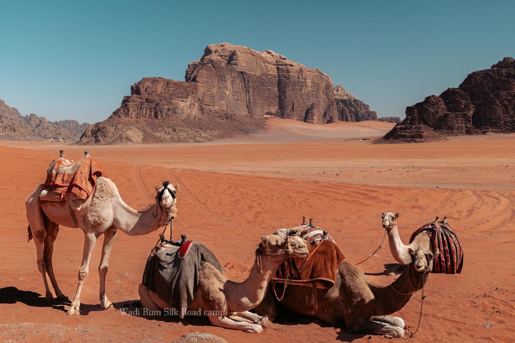 Wadi Rum Silk Road Camp ภายนอก รูปภาพ